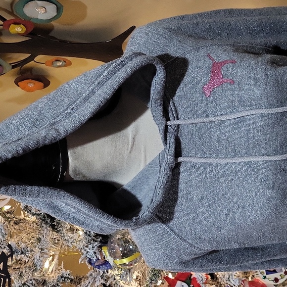 Victoria's Secret PINK Hoodie - Picture 5 of 15